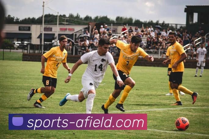 体育下注发展历程